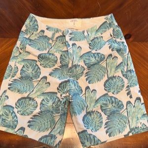 Hollister men’s shorts size 28.